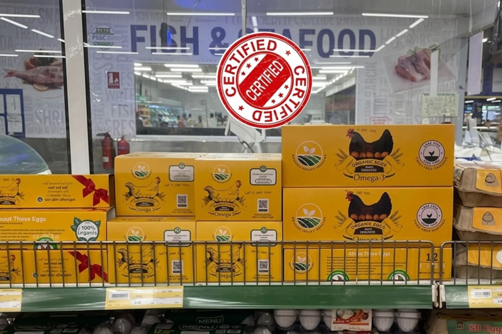 Cage-Free Certified Eggs Available on Retail Shelves in Pakistan