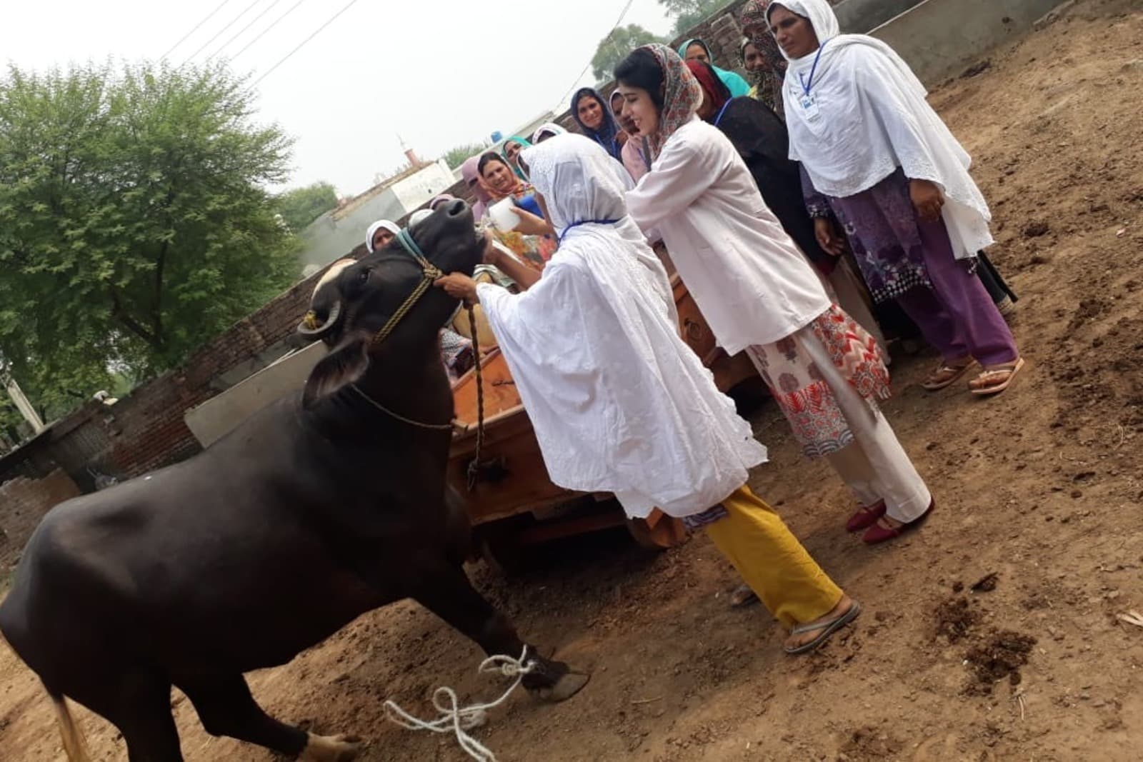 Women’s Livestock Management Training Project – 2019
