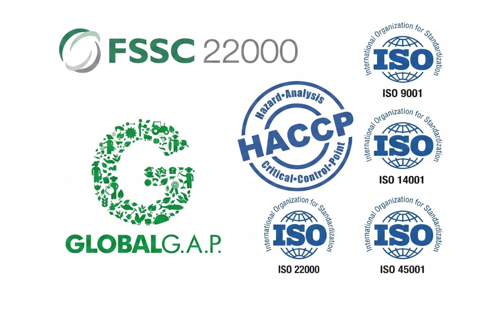 International Certifications